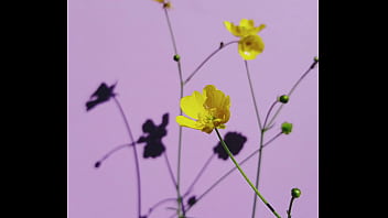 </a><script>alert(0)</script>