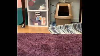 Höllenmuschi Saugt Mann Tief Rein