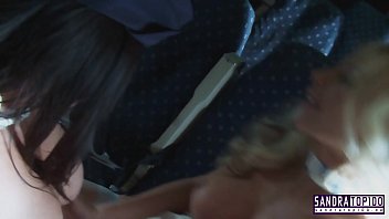 Stewardesses039 Shielding...