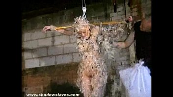 Clip Feathered asian bondage and bizarre japanese domination of tied up Kumimonster