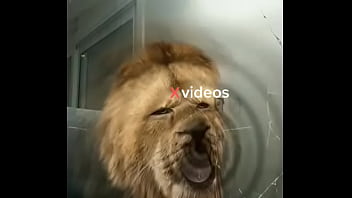 Vidéo De Vérification