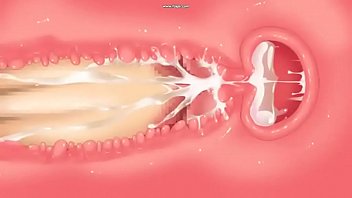 【巨乳女子高生（ＪＫ）ＳＭ調教３Ｄエロアニメ】女子校生と和室 善明すみれ 巨乳少女悦虐の緊縛飼育（X viceos：１６分）
