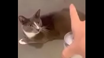 American Cutie Doing Stretches And Teasing On