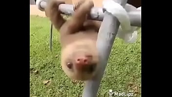 Doğrulama videosu 13秒