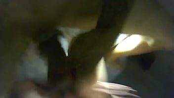 Le Pongo À Déguster