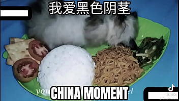 memes, china, anal, cat