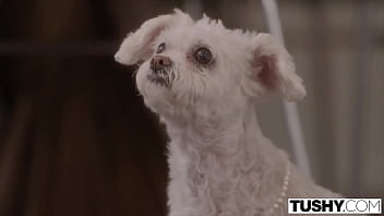 Rich Girl Doing Xnxxx Bf · XNXX.com.se Free Porn Online! 3GP MP4 Mobile Sex XXX Porno Videos!