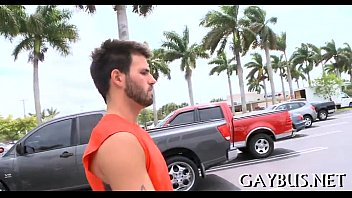 Wild 10-pounder riding inside a car