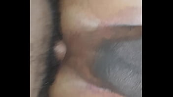 سالب مصري