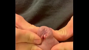 Cock banding for 1 hour