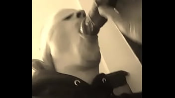White boy sucking big black cock