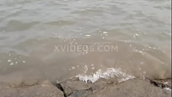 China Shenyang Rabbit