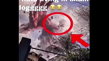 Kfclover199 hyperpop...