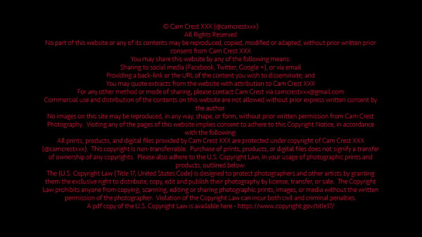 バイセクシャルの男がチンポでゲップする方法を教える