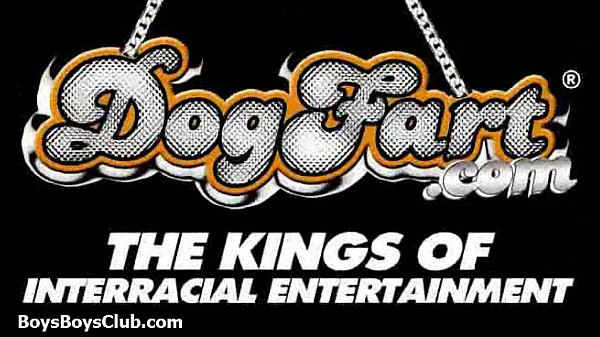 Muscled black gay boys humiliate white twinks hardcore 13