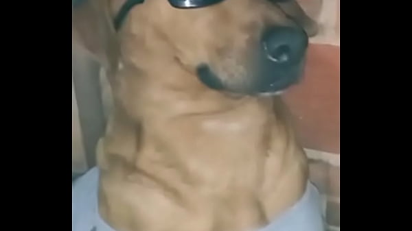 Eating naughty on all fours until I enjoy Thumbnail