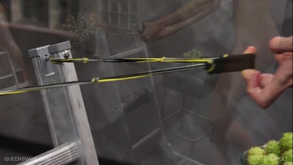 Queensnake.com - Catapult - Best Porn Web Sex Videos