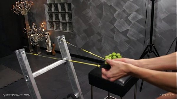 Queensnake.com - Catapult - Best Porn Web Sex Videos