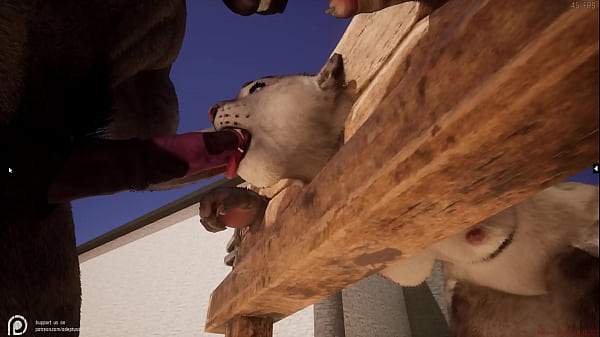 Wild Life Furry Hentai