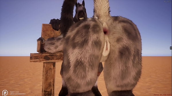 Wild Life Furry Hentai