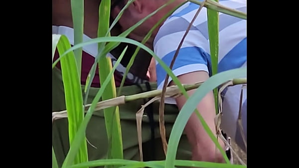 orgy bareback interracial in the florest 05 08