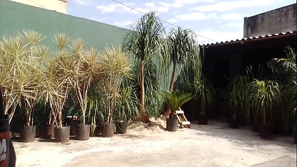 Diogobrasileiro - update #2 - VID 20231024 084410 - Oct 25, 2023 Thumbnail