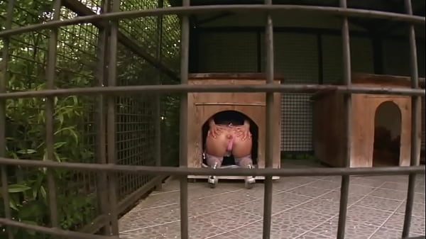 Clarissa EURO Anal David Perry, Ian Scott outdoor, costumes, stockings, swallow bitch hardcore double penetration Teaser#1 babe, small tits, big ass, natural, slut, natural tits, stockings, hardcore, anal sex, anal, pussy fuck, ass fuck, ass gape, anal Thumbnail