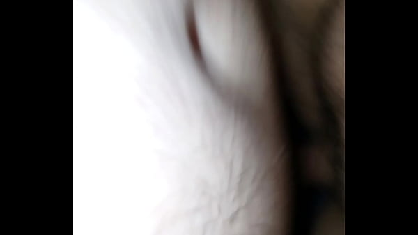 Pounding the pussy Thumbnail