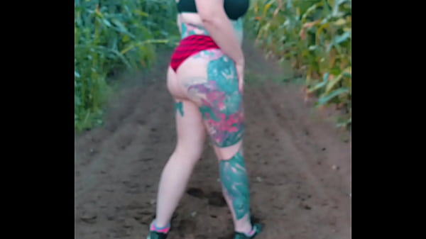 Fun in a cornfield Thumbnail