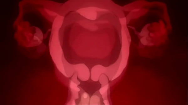 Bulma & Bra got fucked by Roshi (sexslave) DBZ Thumbnail