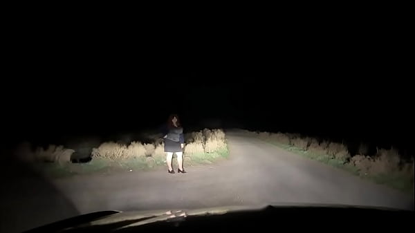 Mature MILF met on the road and did everything in the car