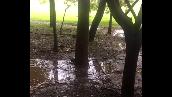 Vídeo