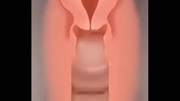 Vídeo