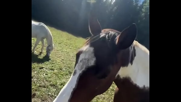 Tetovált modell lovakkal a célvonal felé