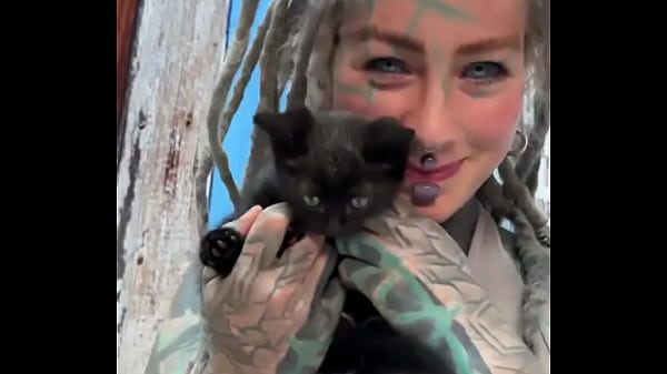 Sweet little black kitty cat ??What's your favorite thing about black cats?#BlackKittyLove #Sweet #CatVibes #Psyla... Thumbnail