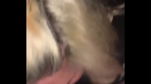 Stepbro creampies stepsis by the fire hoping they don’t get caught