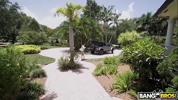 Stripper Maid Thumbnail