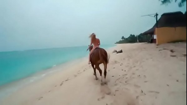 毛里求斯 XXX 视频