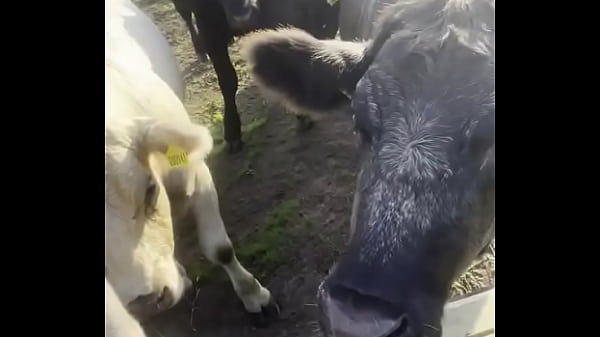 I am a country girl at heart! Would you have thought?  I find my peace in nature, soaking up the sun and embra... Thumbnail