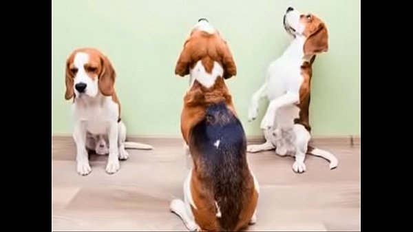 Vídeo