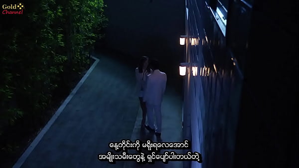 Pleasure or (2013) (myanmar subtitle)