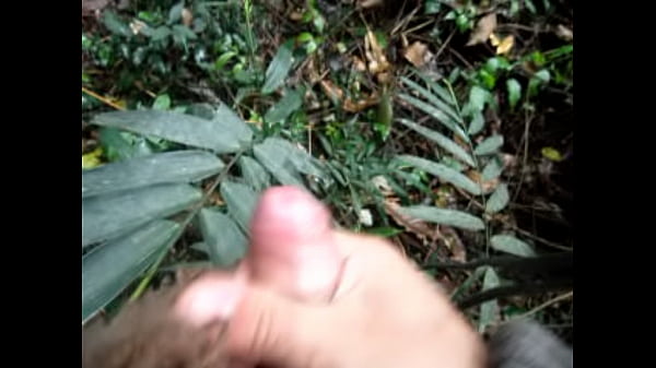 Vídeo
