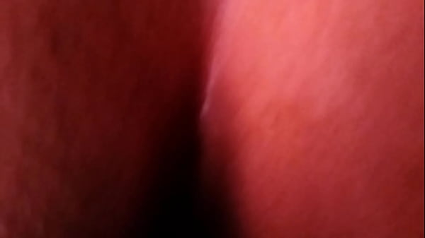 verificação de xvideos