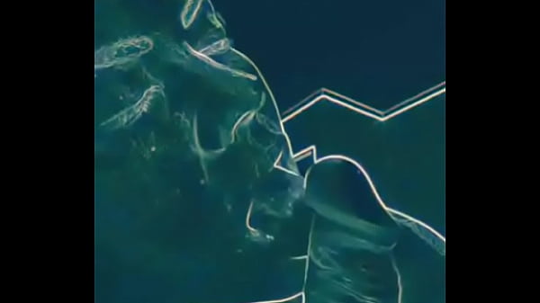 Juanita sucking his dick daily Thumbnail