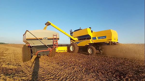 Harvesting soybeans with a New Holland TC 5090 Thumbnail
