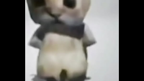 the dancing cat Thumbnail