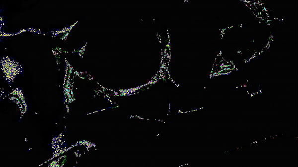 Tattooed Whore Alexxa Vice Gets Used As A Human Toilet While Taking Rough DP Slamming