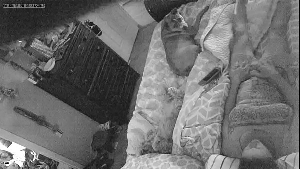 Esfregando o clitóris