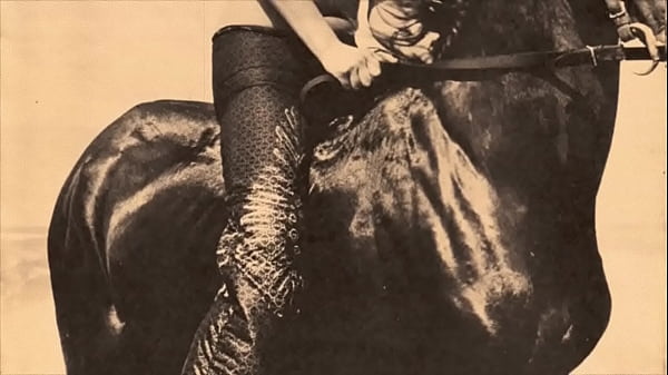 Vintage Taboo, Pussy & Pooch