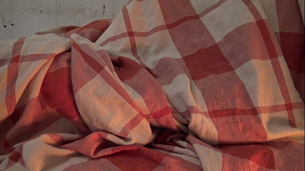 German Family · XNXX.com.se Free Porn Online! 3GP MP4 Mobile Sex XXX Porno Videos!